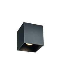 Wever & Ducré Box Outdoor 1.0 LED Plafondlamp Donkergrijs 2000-3000K Dimbaar