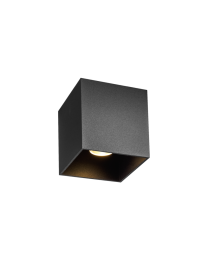 Wever & Ducré Box Outdoor 1.0 LED Plafondlamp Zwart 2000-3000K Dimbaar