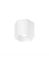 Wever & Ducré Hexo 1.0 LED Plafondlamp Wit 3000K
