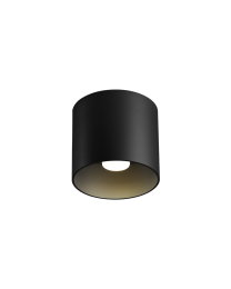 Wever & Ducré Ray 1.0 LED Plafondlamp Zwart 2700K Dimbaar