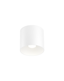 Wever & Ducré Ray 1.0 LED Ceiling Lamp White 2700K Dimmable