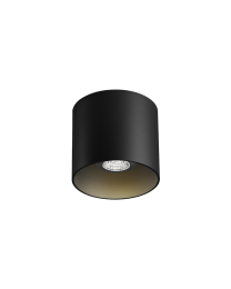 Wever & Ducré Ray 1.0 PAR16 Plafondlamp Zwart