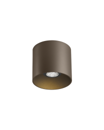Wever & Ducré Ray 1.0 PAR16 Plafondlamp Brons