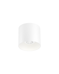 Wever & Ducré Ray 1.0 PAR16 Ceiling Lamp White